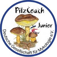 Motivationsabzeichen PilzCoach-Junior