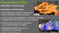 vortrag_faszination_pilze_16